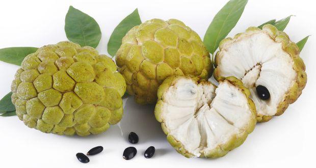 Sharifa – Dietary benefits of the fruit of the season