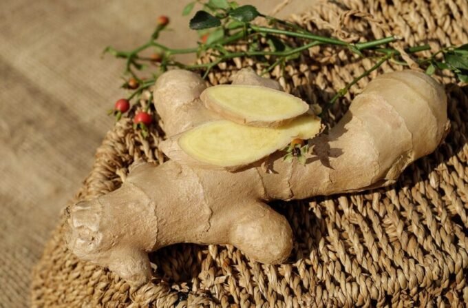 advantage of ginger in diet