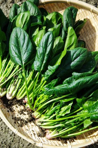 Advantages Of Eating Green Leafy Vegetable Regularly