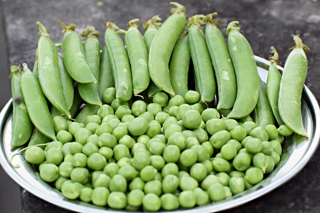 Some Of The Health Benefits Of Green Peas, You Might Not Know