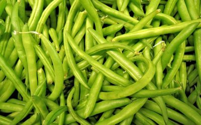 Green Beans: The Incredible Health Benefits That You May Not Know