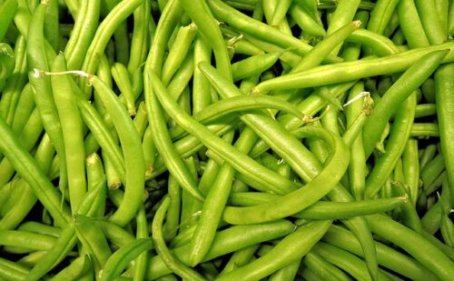 Green Beans: The Incredible Health Benefits That You May Not Know