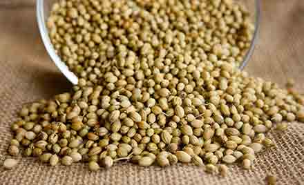 diet benefits of fenugreek seed