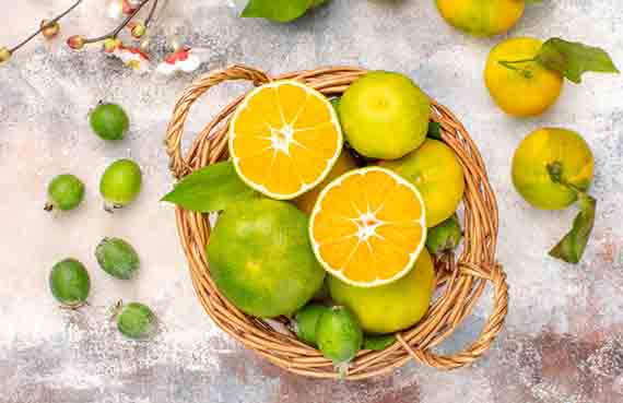 mausambai orange vitaminc source