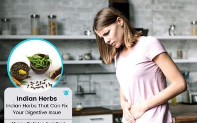 Easily Available Indian Herbs That Can Fix Your Digestive Issue