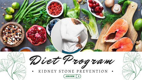 diet program for kidney stone prevention