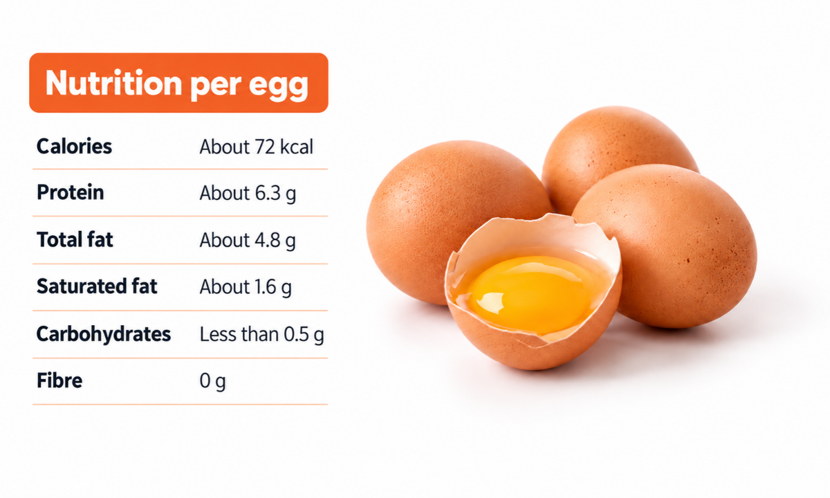 Overview of the calories, protein, fats, and essential nutrients in one egg.
